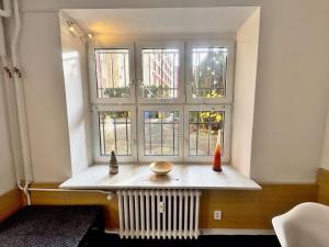 Pronájem bytu 2+1, Ostrava - Moravská Ostrava, Českobratrská, 46 m2