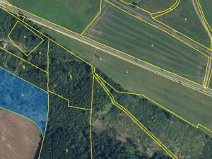 Prodej lesa, Horní Olešnice, 7037 m2