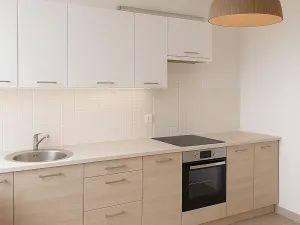 Prodej bytu 2+1, Boskovice, Havlíčkova, 82 m2