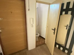 Prodej bytu 2+1, Boskovice, Havlíčkova, 82 m2