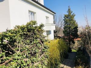 Pronájem bytu 1+1, Praha - Smíchov, Franty Kocourka, 55 m2