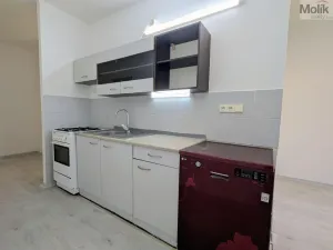 Pronájem bytu 3+1, Bílina - Teplické Předměstí, Sídliště Za Chlumem, 64 m2