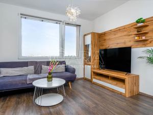 Pronájem bytu 1+1, Praha - Hostivař, plukovníka Mráze, 45 m2