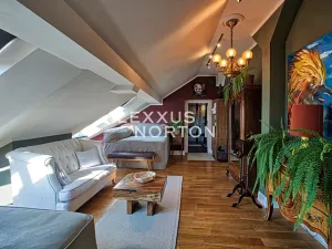 Pronájem bytu 6+kk a větší, Praha - Nové Město, Rašínovo nábřeží, 600 m2