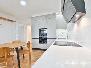 Pronájem bytu 2+kk, Brno - Ponava, Střední, 55 m2