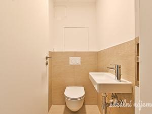 Pronájem bytu 2+kk, Brno - Ponava, Střední, 55 m2