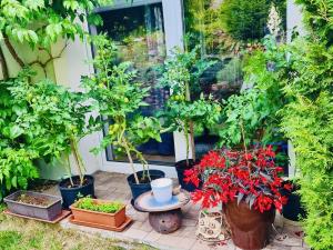 Prodej rodinného domu, Meziboří, Markův kopec, 88 m2