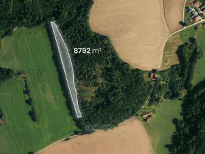 Prodej lesa, Hluboká nad Vltavou - Kostelec, 18716 m2