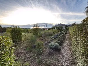 Prodej pozemku pro bydlení, Kamenice, 1421 m2