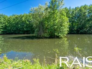 Prodej komerční nemovitosti, Martinice v Krkonoších, 148 m2