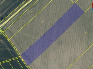 Prodej pole, Provodov-Šonov - Šonov u Nového Města nad Metují, 6017 m2