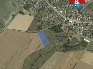 Prodej pole, Brodek u Konice, 7249 m2