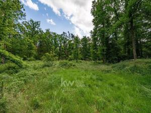 Prodej pozemku pro bydlení, Hradištko, Kersko, 3143 m2