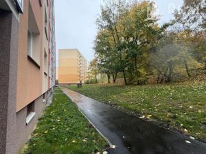 Pronájem bytu 1+1, Chomutov, Holešická, 35 m2