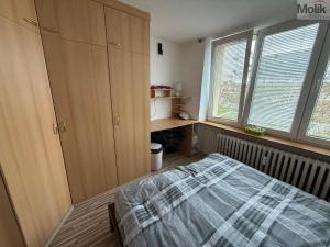 Pronájem bytu 3+1, Most, Maxe Švabinského, 54 m2