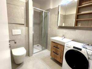 Pronájem bytu 1+kk, Brno - Trnitá, Křenová, 32 m2