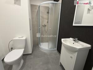 Pronájem bytu 1+kk, Ústí nad Labem, Glennova, 19 m2