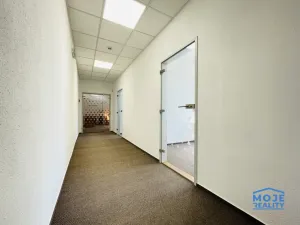 Pronájem kanceláře, Plzeň - Jižní Předměstí, náměstí T. G. Masaryka, 365 m2