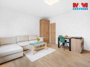 Pronájem bytu 1+kk, Plazy, 30 m2