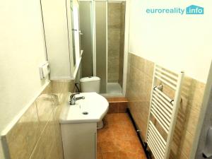 Pronájem bytu 1+1, Děčín, Kamenická, 40 m2