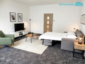 Pronájem bytu 1+1, Děčín, Kamenická, 40 m2