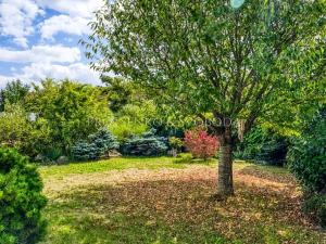 Prodej vícegeneračního domu, Havlíčkův Brod, Ječná, 239 m2