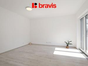 Pronájem bytu 1+kk, Brno, Křenová, 44 m2