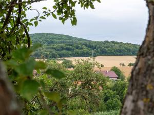 Prodej pozemku, Měňany, 1643 m2