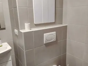 Pronájem bytu 1+1, Karlovy Vary, Celní, 43 m2