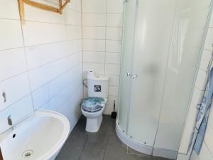 Prodej komerčního pozemku, Lišov, 3904 m2