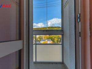 Prodej bytu 2+1, Litvínov - Horní Litvínov, Tylova, 55 m2