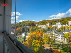 Prodej bytu 2+1, Litvínov - Horní Litvínov, Tylova, 55 m2