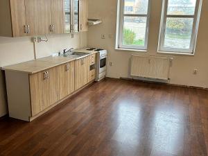 Pronájem bytu 2+1, Ústí nad Labem - Bukov, Na Kohoutě, 86 m2