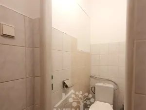 Prodej obchodního prostoru, Jablonec nad Nisou, Pasecké náměstí, 200 m2