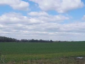 Dražba zahrady, Plzeň, 7558 m2