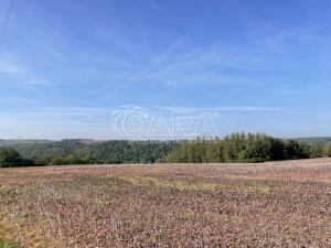 Prodej pozemku pro bydlení, Chrást, Habrovská, 966 m2