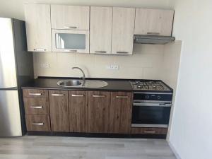 Pronájem bytu 1+1, Ostrava, Ahepjukova, 37 m2