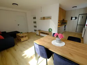 Pronájem bytu 2+1, Uherský Brod, 58 m2