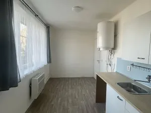 Pronájem bytu 1+1, Ostrava, Newtonova, 41 m2