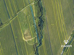 Prodej pole, Hrubá Vrbka, 1379 m2