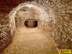 Prodej - jiné, Nový Šaldorf-Sedlešovice - Nový Šaldorf, 145 m2