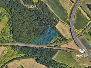 Prodej lesa, Spořice, 19930 m2