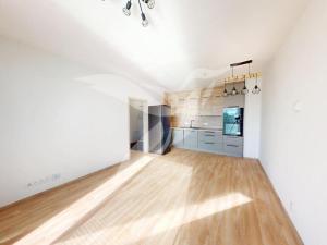 Pronájem bytu 2+kk, Plzeň, Nad Dvorem, 52 m2