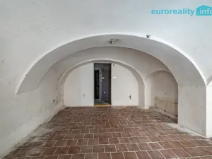 Prodej atypického bytu, Cheb, Cechovní, 168 m2