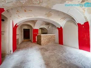 Prodej atypického bytu, Cheb, Cechovní, 168 m2