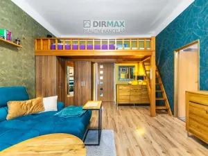 Prodej vícegeneračního domu, Plzeň - Jižní Předměstí, Kotkova, 330 m2