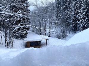 Prodej atypického bytu, Špindlerův Mlýn, 47 m2