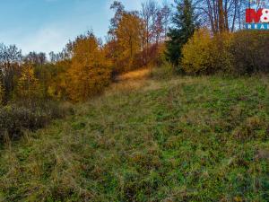 Prodej louky, Bílá - Hradčany, 6046 m2