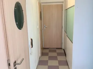 Prodej bytu 3+1, Jihlava, Vrchlického, 74 m2