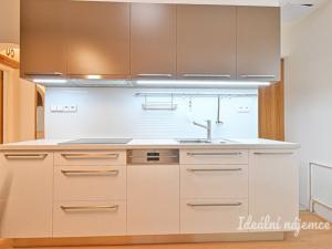 Pronájem bytu 1+1, Brno - Židenice, Škroupova, 38 m2